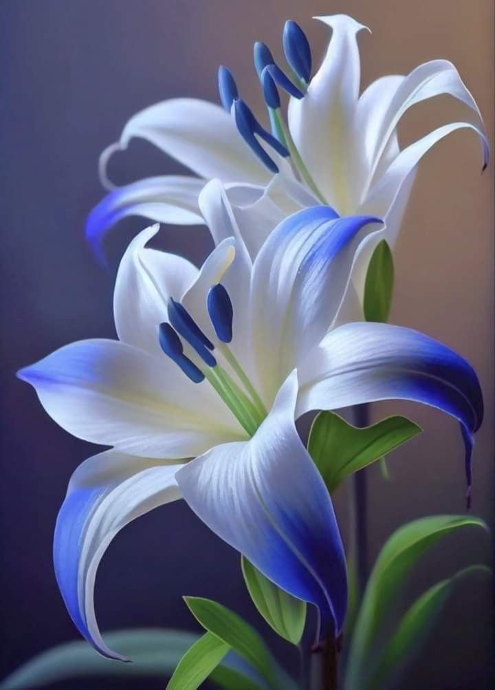 Flor permanente - opção 17