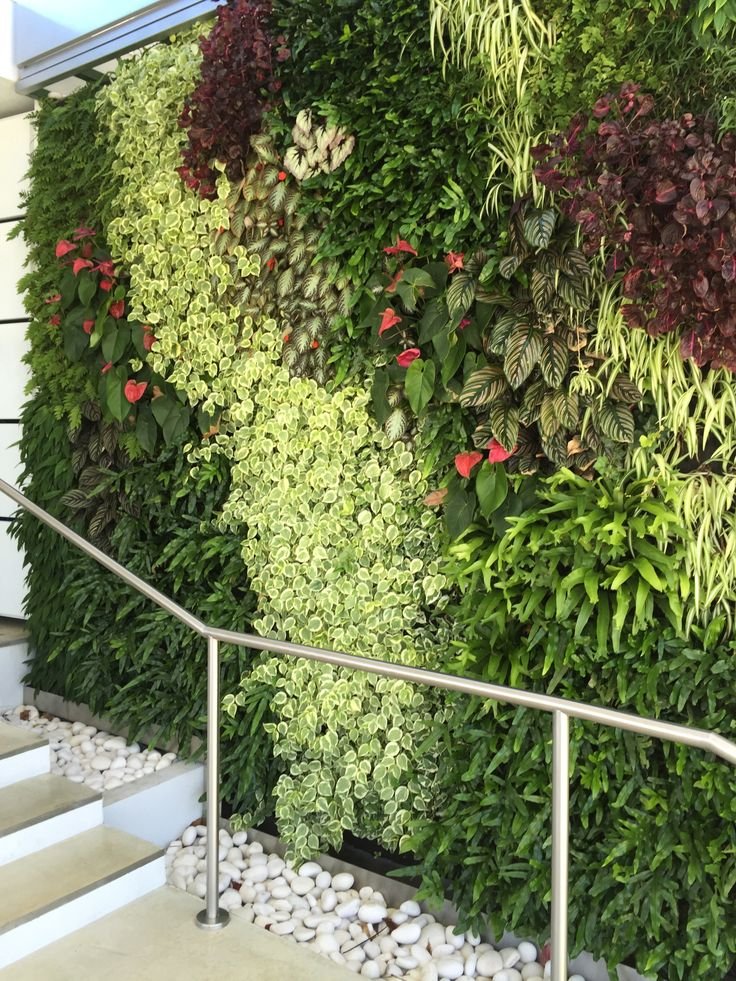 Jardim vertical permanente - opção 9