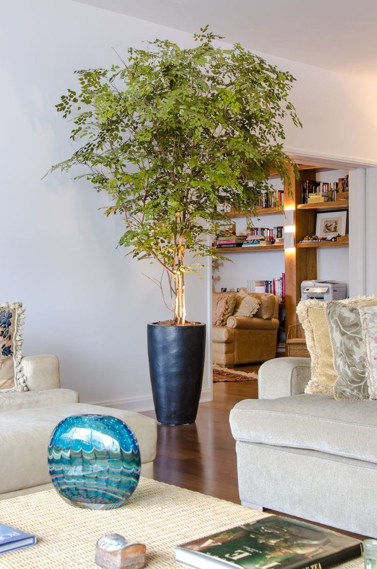 Ambientação residencial com flores e plantas permanentes - opção 14