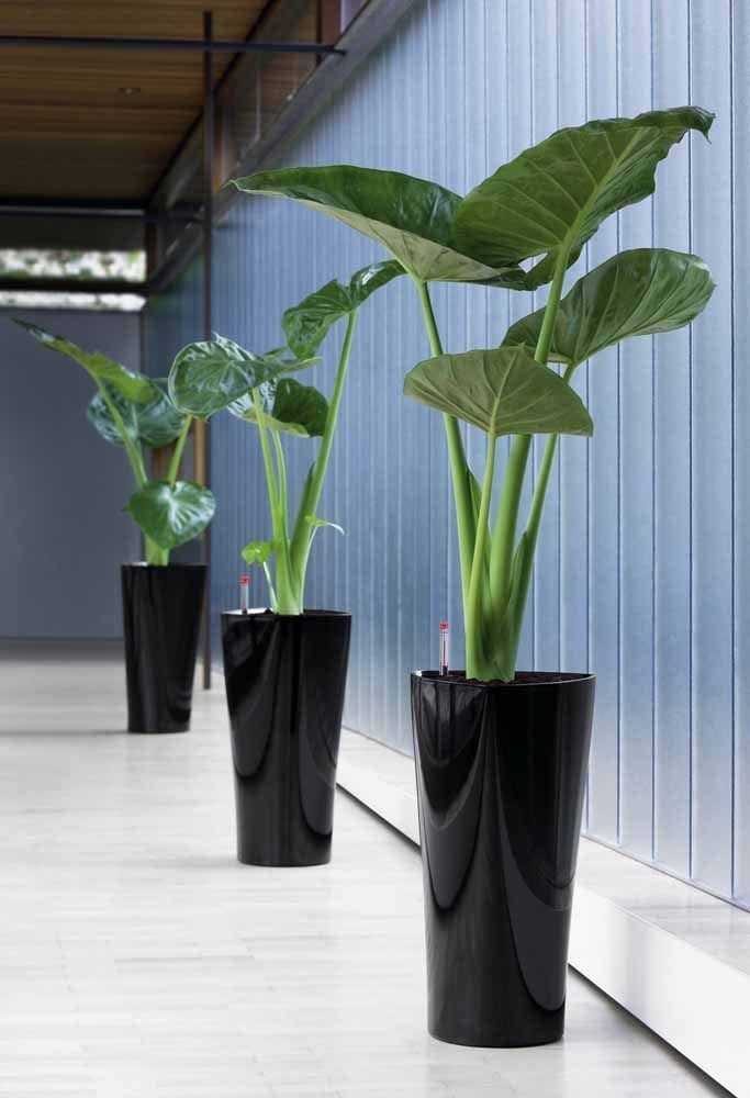 Vaso decorativo com planta permanente - opção 2