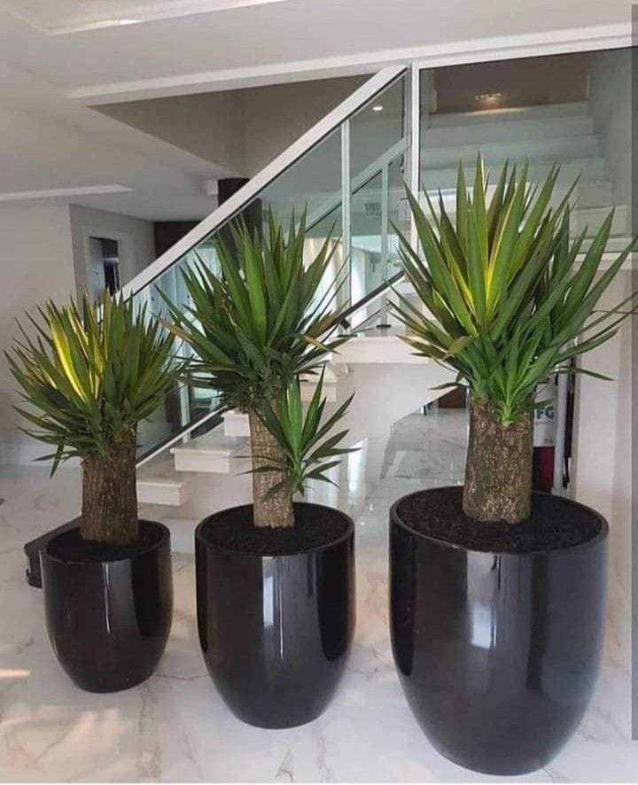 Vaso decorativo com planta permanente - opção 4