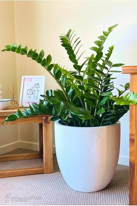 Vaso decorativo com planta permanente - opção 17