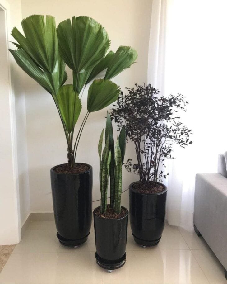 Vaso decorativo com planta permanente - opção 18