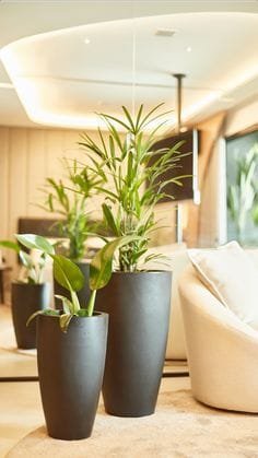 Vaso decorativo com planta permanente - opção 19