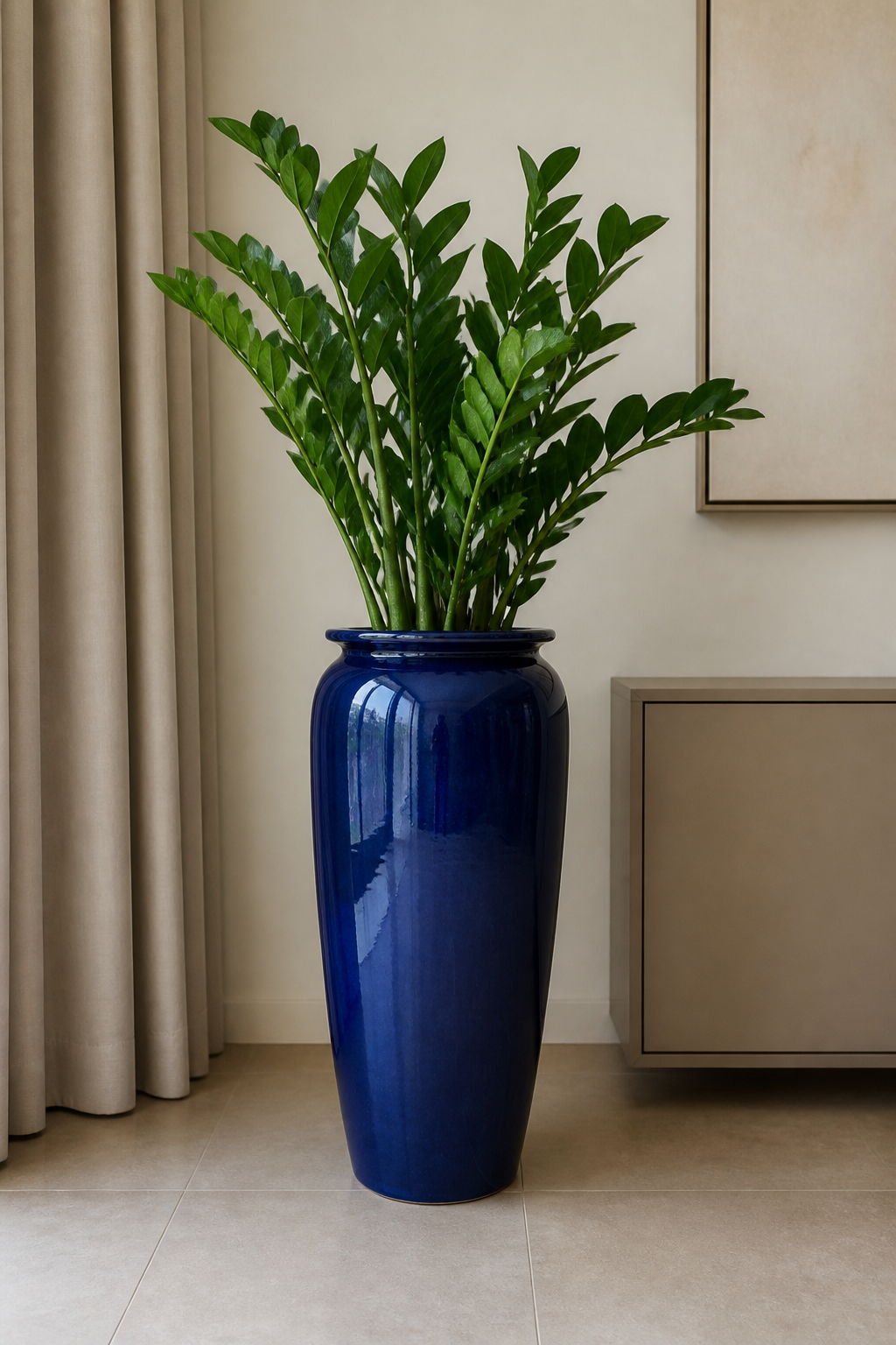 Vaso azul com zamioculca